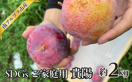 ＜2026年発送先行予約＞SDGs ご家庭用 貴陽 約2.0kg  ALPAJ043 6,300円