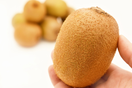 <2026年発送先行予約>フルーツカフェマルサン 黄色いキウイ ゴールデンキング 大玉 約1.8kg ALPAJ045