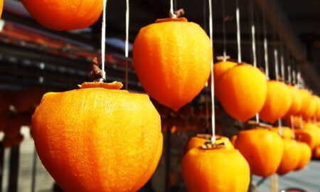 南アルプス天空舎の百目あんぽ柿３パック ALPAB111