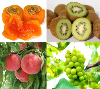 南アルプス天空舎四季の果樹４種（あんぽ柿,キウイ,もも,シャインマスカット） ALPAB115
