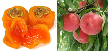 南アルプス天空舎の桃とあんぽ柿 ALPAB116