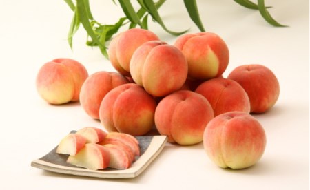 ja 南アルプス 市