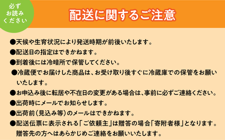 <2026年発送先行予約>すもも サマーエンジェル「夏の天使」約1.5kg以上 ALPCZ010