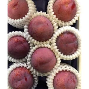 ＜2026年発送先行予約＞高級すもも「貴陽」特大玉6～8玉 ALPCZ012