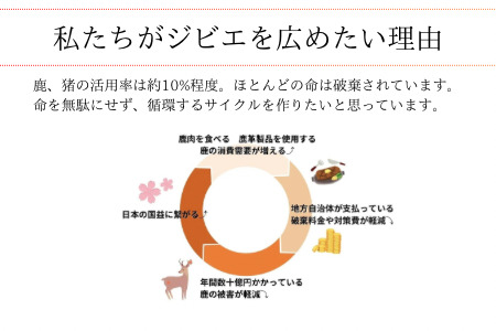 山梨県産 天然鹿カツ 冷凍パック ALPDW021