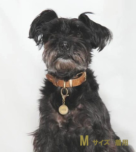 ｅｊブランド『 i-LACQ 』アイ・ラシク ペット用アンティーク調 迷子札 ネームタグ BLASS真鍮 Sサイズ ALPDL021