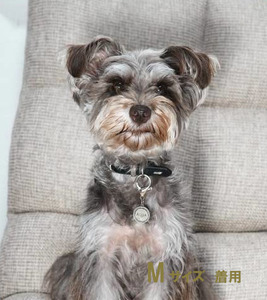 ｅｊブランド『 i-LACQ 』アイ・ラシク ペット用アンティーク調 迷子札 ネームタグ SILVER 燻し加工 Mサイズ ALPDL024