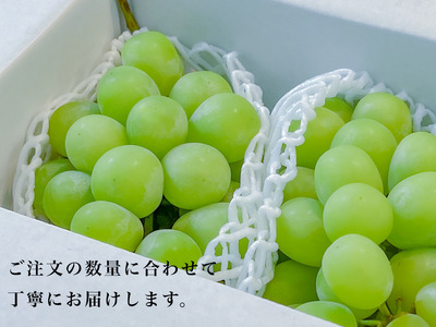 ＜2026年発送先行予約＞大粒大房！山梨県産シャインマスカット 1房 ALPDS006