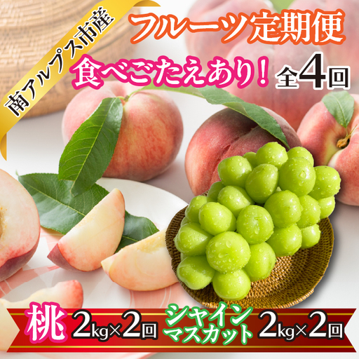 【2026年度先行予約】食べごたえあり！フルーツ4回定期便（桃2.0kg×2回　シャインマスカット2.0kg×2回） | くだもの 果物 フルーツ もも シャインマスカット ブドウ ぶどう 葡萄 山梨県産 産地直送 農家直送 新鮮 美味しい 南アルプス市 ALPAJ052
