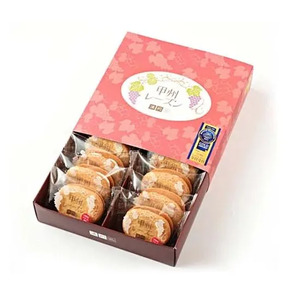 甲州レーズン(10個入) ALPEN002