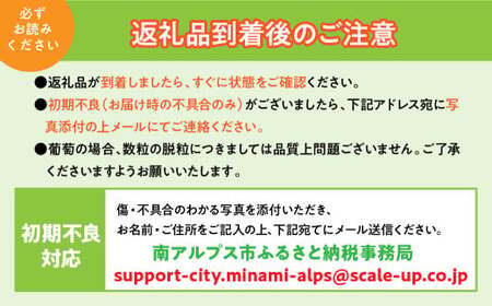 <2026年発送先行予約>さくらんぼ 紅秀峰 2Lサイズ以上 500g ALPAA054