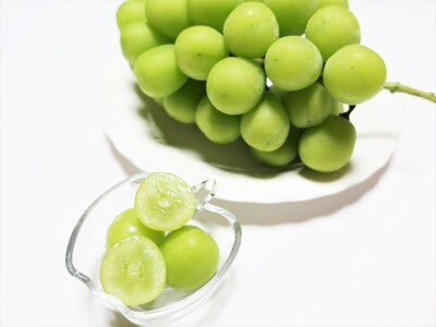 <2026年発送先行予約>南アルプス市産 シャインマスカット 1.2kg以上 (2房) ALPEV001 山梨県 ぶどう 葡萄 ブドウ マスカット 種なし フルーツ くだもの 果物 高級 新鮮 産地直送 贈答 ギフト 家庭用 2026年 南アルプス市