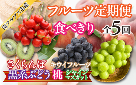 ★【食べきり】新鮮！旬のフルーツ5回定期便〈くだもの　フルーツ　さくらんぼ、桃、黒系ぶどう　ピオーネ　ブラックビート　ふじみのり　シャインマスカット　キウイフルーツ　新鮮　農家直送　産地直送　人気　山梨県　南アルプス市　〉 ALPAJ055　