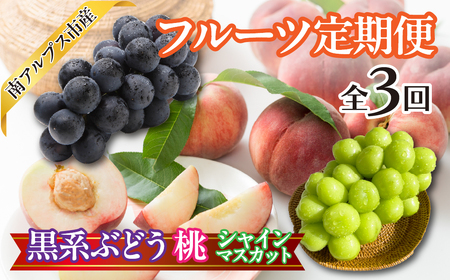 ★先行予約　おいしいくだもの3回定期便〈くだもの　フルーツ　桃　巨峰　黒系ぶどう　シャインマスカット　新鮮　農家直送　産地直送　人気　山梨県　南アルプス市　〉 ALPAJ056　