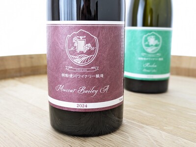 ＜日本ワインコンクール2025 受賞＞御勅使川ワイナリー　マスカット・ベーリーA、甲州、赤・白2本セット ALPCO002