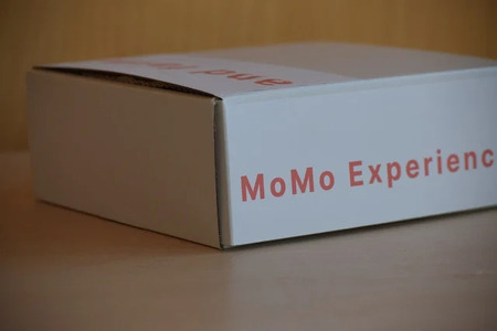 ＜2026年発送先行予約＞【すもも・サマーエンジェル】一度は食べたい！栽培者１番人気！ 約24玉 ALPDS012