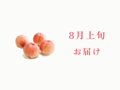 ＜2026年発送先行予約＞【8月上旬お届け】品種おまかせ！山梨県産の旬の桃 約2kg（約5～6玉） ALPDS020