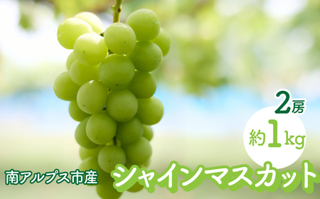 ＜2026年発送先行予約＞南アルプス市のシャインマスカット2房 約1kg ALPFK001
