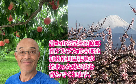 南アルプス市で収穫された「旬感!真空・冷凍 桃」 ALPDN001