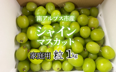 <2026年発送先行予約>南アルプス市産シャインマスカット家庭用 粒1kg クール便発送 ALPAG012