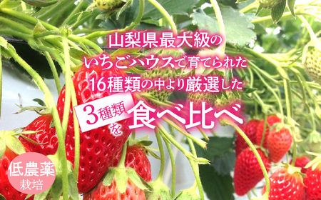 ＜2026年発送先行予約＞南アルプス市産いちご3種類4パック　200g×4パック ALPAG013
