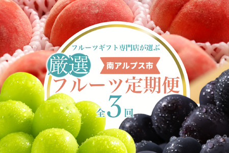 ＜2026年発送先行予約＞フルーツギフト専門店が選ぶ南アルプスの厳選フルーツ定期便　全3品種（桃・黒ぶどう・シャインマスカット）ALPAH055