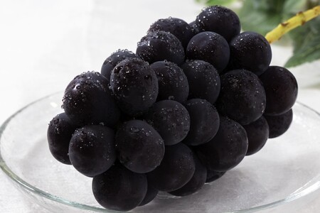 ＜2026年発送先行予約＞フルーツギフト専門店が選ぶ南アルプスの厳選フルーツ定期便　全3品種（桃・黒ぶどう・シャインマスカット）ALPAH055