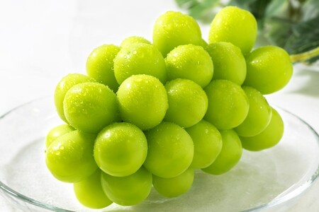 ＜2026年発送先行予約＞フルーツギフト専門店が選ぶ南アルプスの厳選フルーツ定期便　全3品種（桃・黒ぶどう・シャインマスカット）ALPAH055