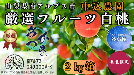 2026年発送先行予約＞ 山梨県南アルプス市産 厳選桃 (あかつき) 2kg