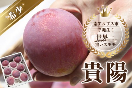 1 1 109 南アルプス市で誕生 世界一重いスモモ 貴陽 きよう 山梨県南アルプス市 ふるさと納税サイト ふるなび