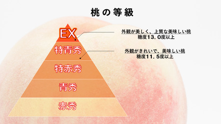 【2025年／令和7年発送先行予約】光センサー桃「エクセレント」約2ｋｇ ALPAA013