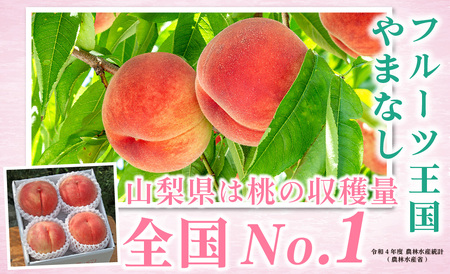 5-54 【2024年発送】山梨県産 採れたて完熟桃 白鳳系1kg以上（3～5玉）ふるさと納税