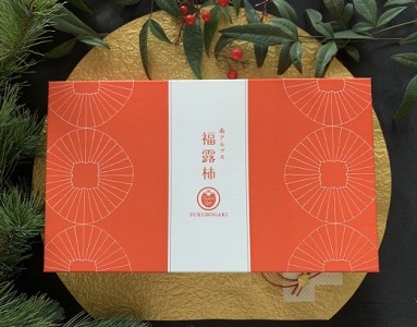 5-156 【先行予約】南アルプス福露柿　１０個入 ソフトドライタイプ（あんぽ柿）