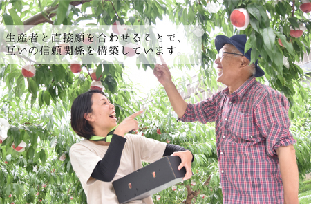 【通年受付】年３回フレッシュフルーツ定期便（クイーンニーナ、シャインマスカット、柿）ALPAJ015　