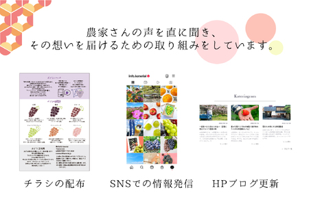 【通年受付】年３回フレッシュフルーツ定期便（クイーンニーナ、シャインマスカット、柿）ALPAJ015　