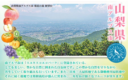 【2025年発送先行予約】山梨県産 定期便3回送り　南アルプスの果物セット ALPAI034