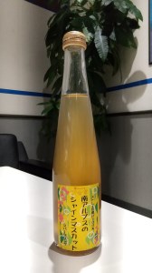 1-3-26ストレート果汁100％（スパークリング）ジュース「南アルプスのシャインマスカット」２本セット