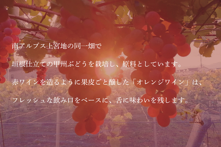 1-3-38 甲州ぶどうを果皮ごと醸すオレンジワイン「TenQoo甲州」（南アルプス上宮地産甲州ぶどう使用）1本