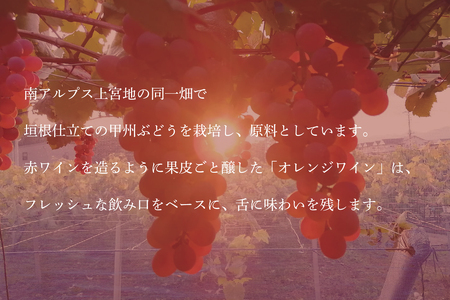 南アルプス天空舎の甲州ぶどうで醸すワイン、白とオレンジの競演 ALPAB059
