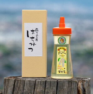 2-9-58 自家のミツバチが集める南アルプス上宮地産 黄金色のアカシアはちみつ 注ぎ型ボトル 440g ２本 ALPAB064