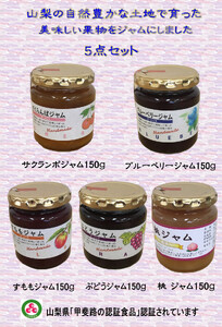 1-9-66 南アルプスで採れた美味しい果物ジャム5点セット ALPCD002