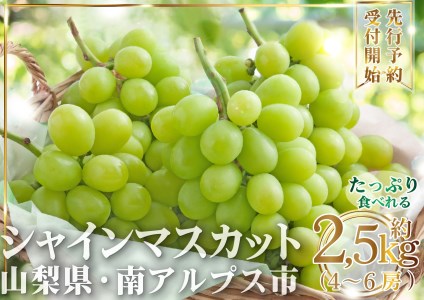 【令和5年8月下旬から10月上旬発送予定】山梨県南アルプス市産