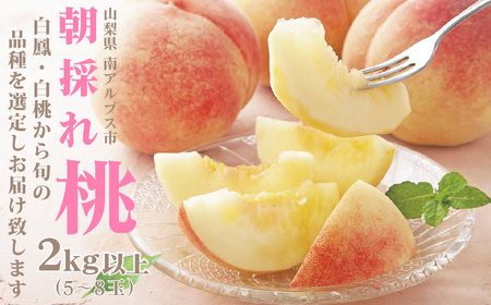 【2026年発送先行予約】山梨県産 定期便4回送り 南アルプスの果物セット ALPAI037