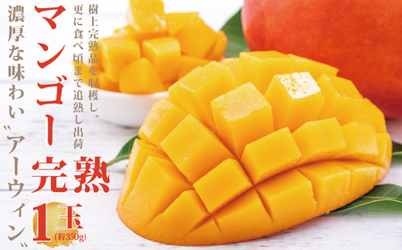 【2026年発送先行予約】山梨県産 定期便4回送り 南アルプスの果物セット ALPAI037