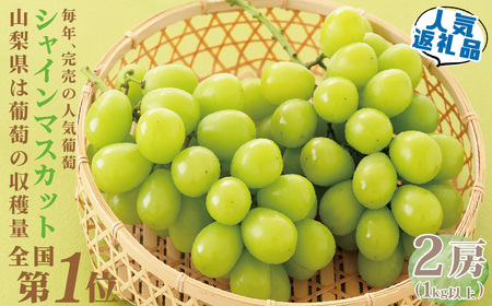 【2026年発送先行予約】山梨県産 定期便4回送り 南アルプスの果物セット ALPAI037