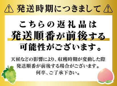 【2025年発送先行予約】山梨県産 定期便6回送り　南アルプスの果物セット ALPAI039