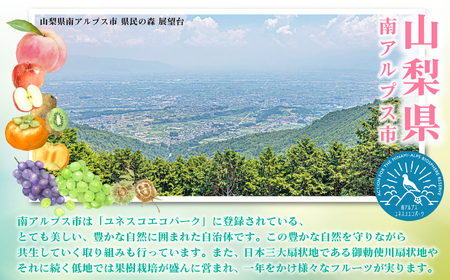 【2025年発送先行予約】山梨県産 定期便6回送り　南アルプスの果物セット ALPAI039