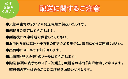 【先行予約】シャインマスカット贅沢定期便２㎏×３回 ALPAJ024