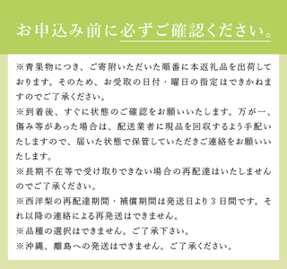 【2024年先行予約】八ヶ岳高原の西洋梨　2kg