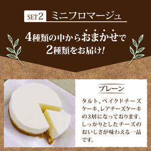 八ヶ岳チーズケーキセット